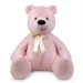   Wp Merchandise    76  (FWPBEAREBELL23PK0)