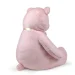   Wp Merchandise    76  (FWPBEAREBELL23PK0)