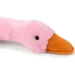   Wp Merchandise    79  (FWPGOOSEEMMY23PK0)