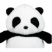   Wp Merchandise   30  (FWPBABYPANDA24BK0)
