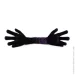   Wp Merchandise     FWPHANDSHUGGY23PR 172  -