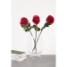 Wrzesniak Glassworks   15-2949B 28  