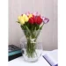 Wrzesniak Glassworks   Aura 25   17-10404A