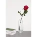Wrzesniak Glassworks   Stripe 25   17-11281