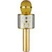    Wster WS-858 Gold (21858MK00178)