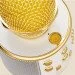    Wster WS-858 Gold (21858MK00178)