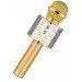    Wster WS-858 Gold (21858MK00178)