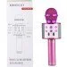    Wster WS 858  (115)