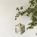  Wunderlicht ϳ 1x60  E27  OM1483-31GD