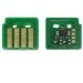 ׳ WWM Magenta (JYD-Xer7020TM-747)