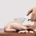 Xiaomi Camp Chef (NE20171)