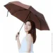 Xiaomi  Life Home LSDQYS03XM Brown (1501108767)