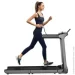 Xiaomi    WalkingPad Treadmill X218 (2721155226)