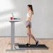   Xiaomi Walkingpad&Treadmill R1 Pro Black (TRR1FPro)