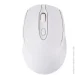     Xiaomi Sensitive Bluetooth Mouse 2.4G Dual-Mode White (SH0000298)