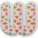 Xoko  EVA English:  (37 .,   ,  )
