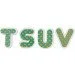 Xoko  EVA English:  (37 .,   ,  )