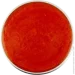 4   "",   , YAGODAR, 800  (2450147665)