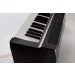   Yamaha P-125B