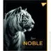 YES   5 48  Noble