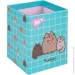 YES     Pusheen 