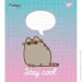 YES   Pusheen 1 12  