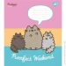 YES   Pusheen 1 12  