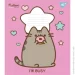 YES   Pusheen 1 12  