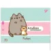 YES    Pusheen 4 20       