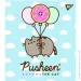 YES   Pusheen 5 12  