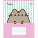 YES   Pusheen Candy 5 12   