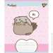 YES   Pusheen Weekend 5 18   