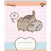 YES   Pusheen Weekend 5 18   