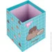  YES ,   "Pushen", Cardboard (5056574420213)