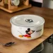      Mickey  850 ,  Yiwu HP-15-11