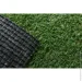 Youngrass   20 4