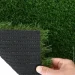 Youngrass   40 4