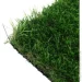 Youngrass   40 4