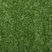 Youngrass   7 24
