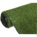 Youngrass   N 7 12