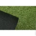Youngrass   N 7 12