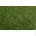 Youngrass   N 7 24
