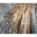 Ys-Art      115x50 