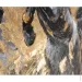 Ys-Art      115x50 