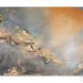 Ys-Art      50x115 