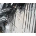 Ys-Art     50x115 