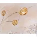 Ys-Art      50x115 