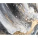 Ys-Art      50x115 