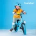 Yvolution  Yvelo  (YT17B2)