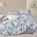 Zastelli     114 / Gray Tradewinds   145210
